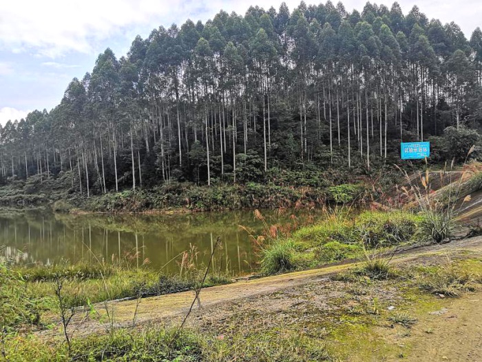 1584426017815406.jpg 大观立仑22.jpg