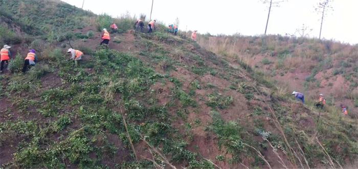 1608090516698222.jpg 11.jpg