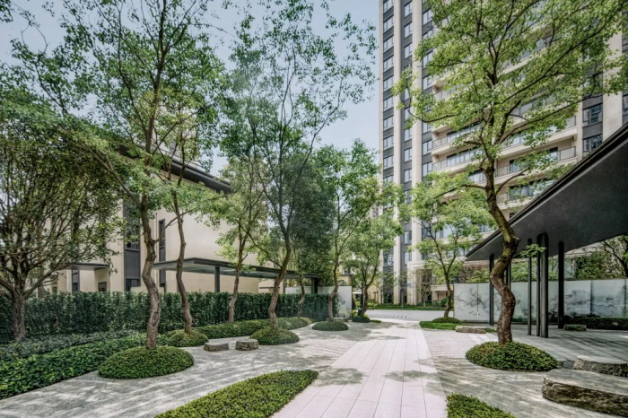 1636595397666105.jpg 6.jpg